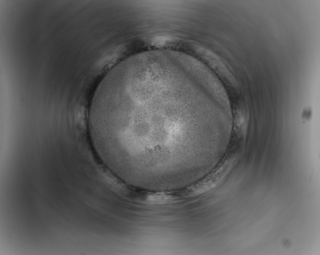 X0000102520470200808221845