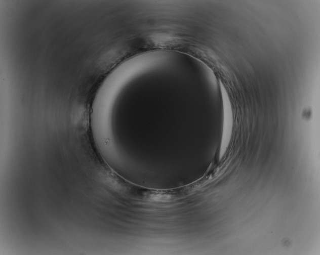 X0000102520471200808221845