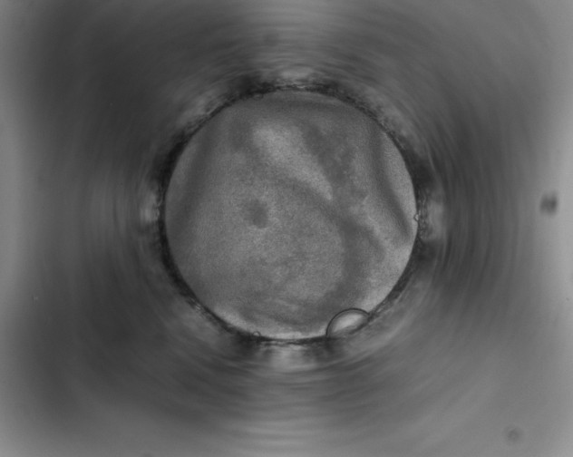 X0000102520472200808221845