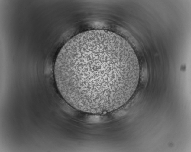 X0000102520473200808221845