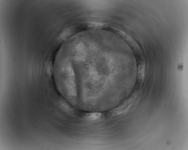 X0000102520474200808221845