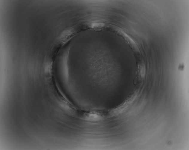 X0000102520475200808221845