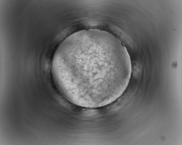 X0000102520476200808221845