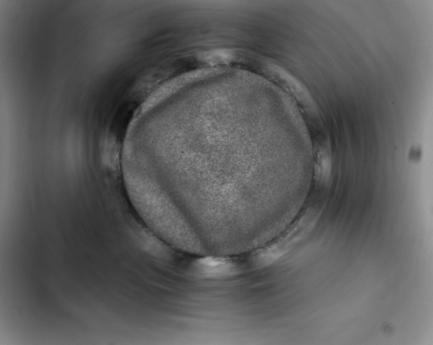 X0000102520477200808221845