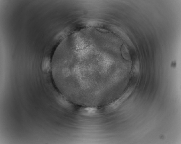 X0000102520478200808221845