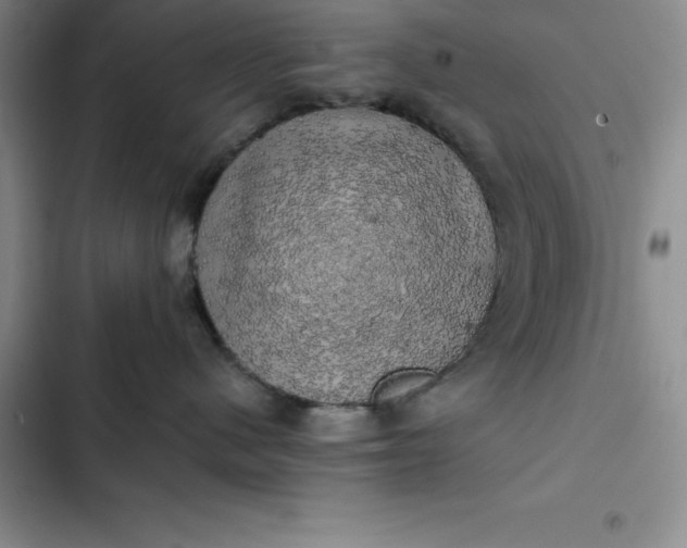 X0000102520480200808221845