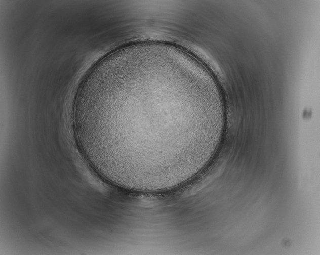 X0000102520481200808221845