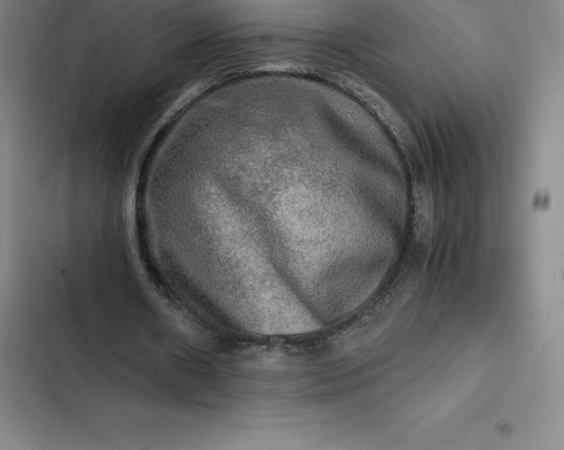 X0000102520482200808221845