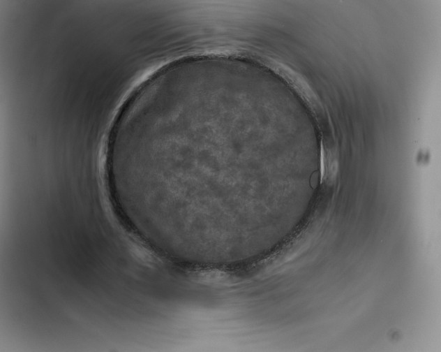 X0000102520483200808221845