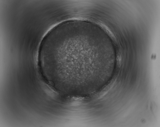 X0000102520484200808221845