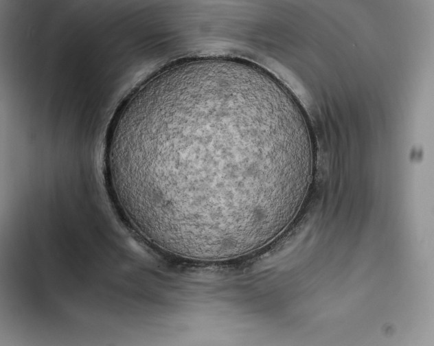 X0000102520485200808221845