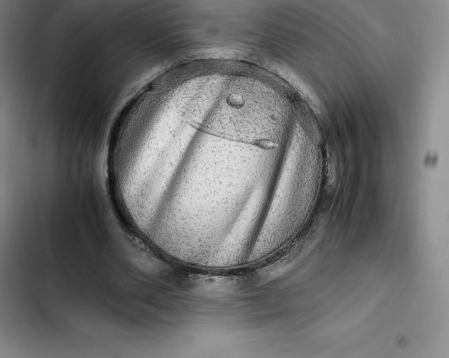 X0000102520486200808221845