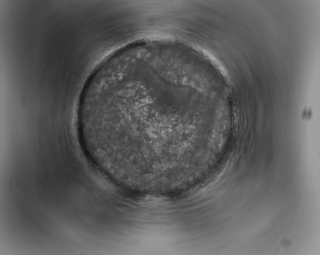 X0000102520487200808221845