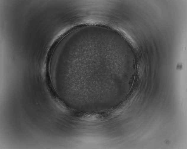 X0000102520488200808221845