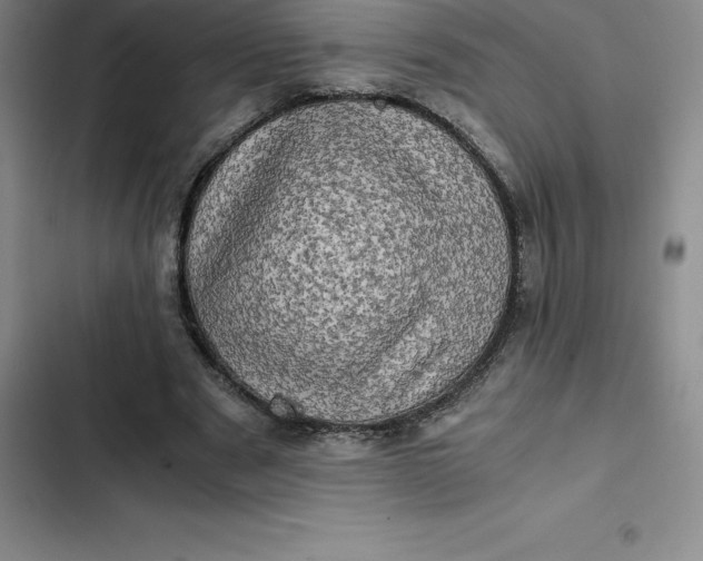 X0000102520489200808221845