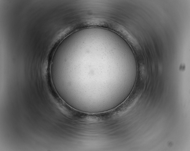 X0000102520490200808221845