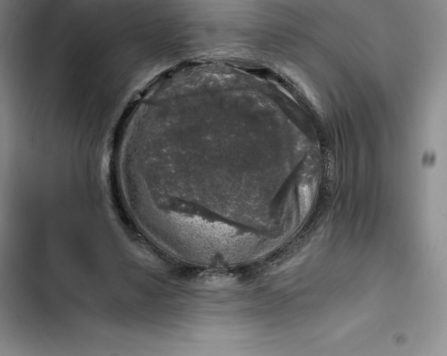 X0000102520491200808221845