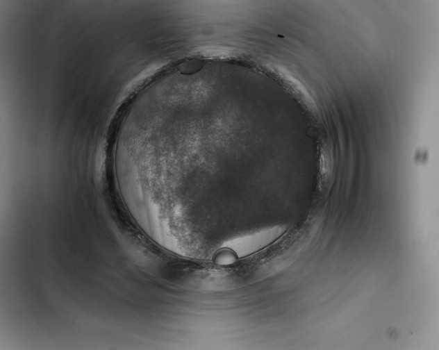 X0000102520492200808221845