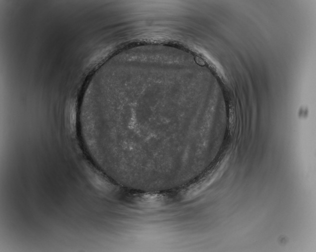 X0000102520493200808221845