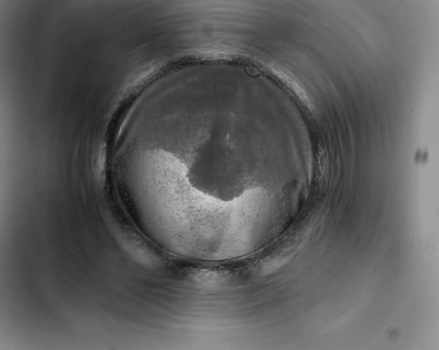 X0000102520494200808221845