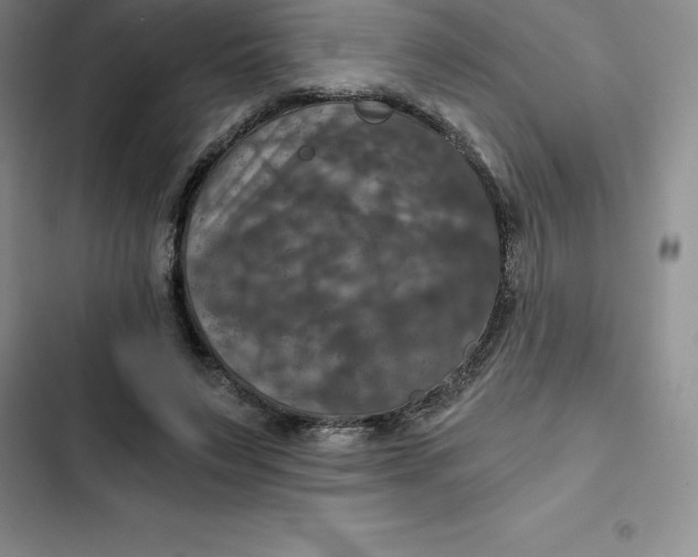 X0000102520495200808221845