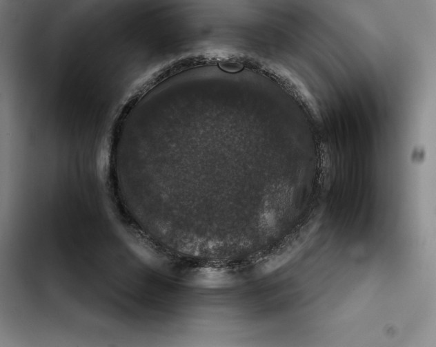 X0000102520496200808221845