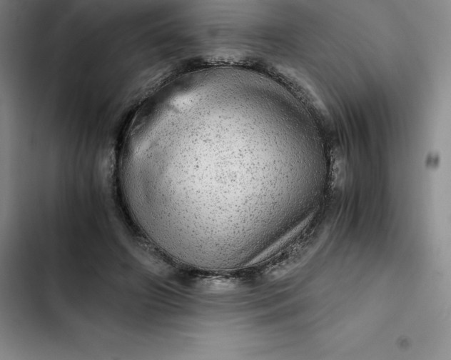 X0000102520498200808221845