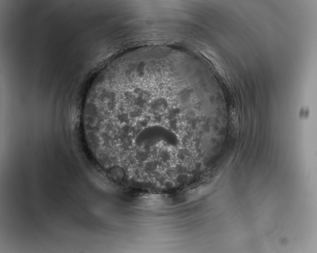 X0000102520499200808221844