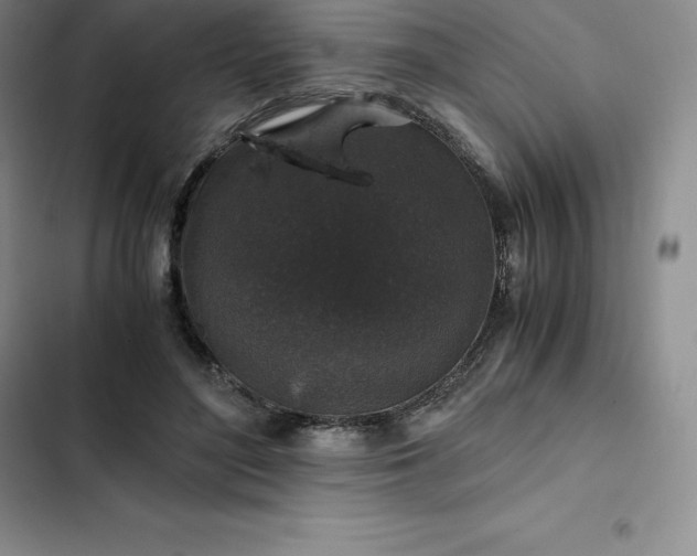 X0000102520500200808221844