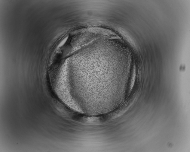 X0000102520501200808221844