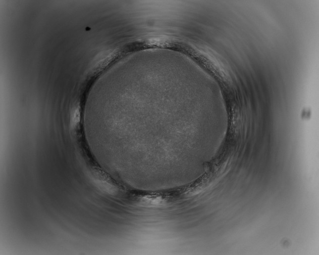 X0000102520502200808221844