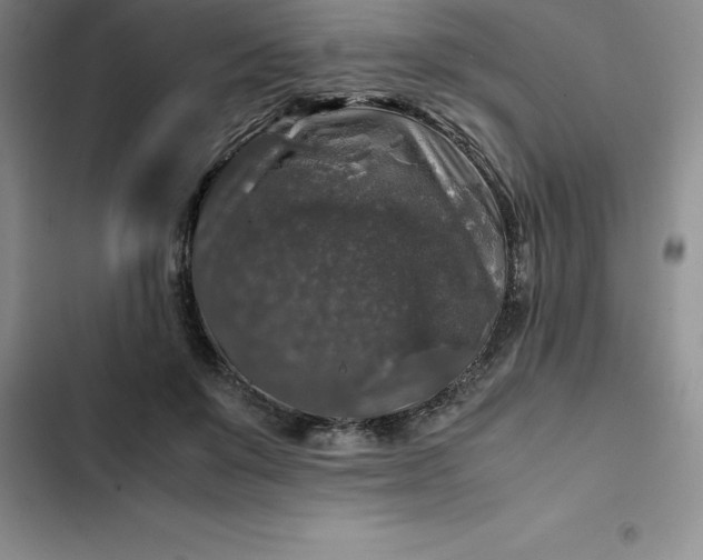 X0000102520503200808221844