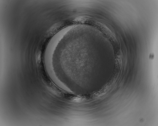 X0000102520504200808221844