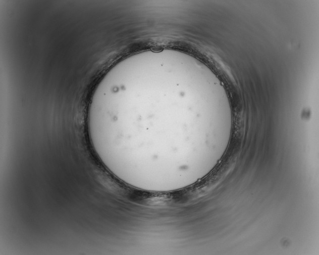 X0000102520505200808221844