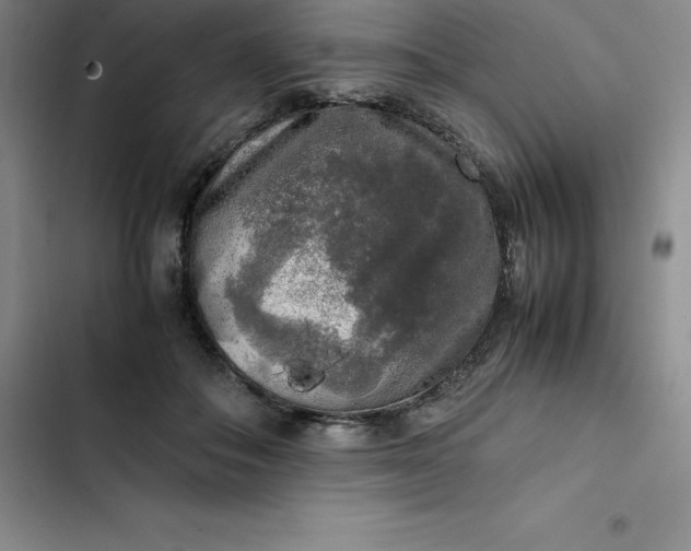 X0000102520506200808221844