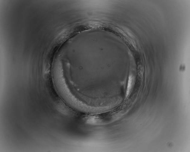 X0000102520507200808221844