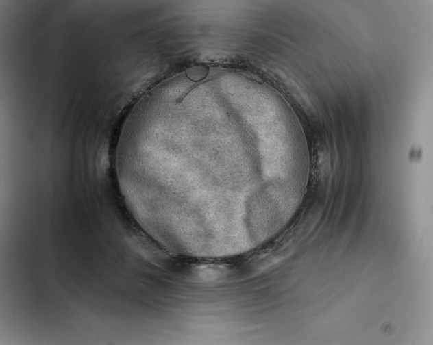 X0000102520508200808221844