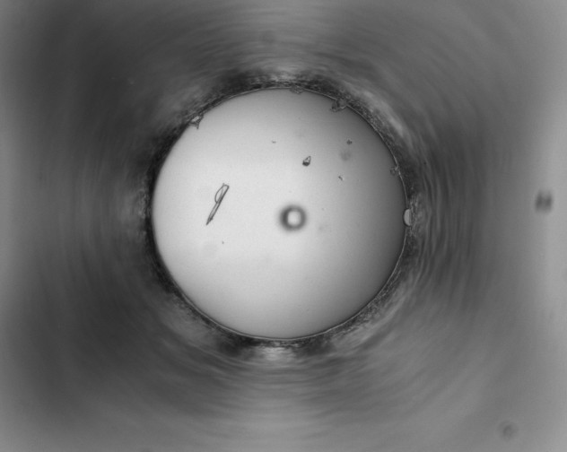 X0000102520509200808221844