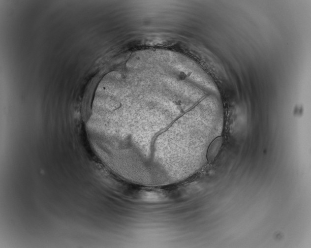 X0000102520510200808221844