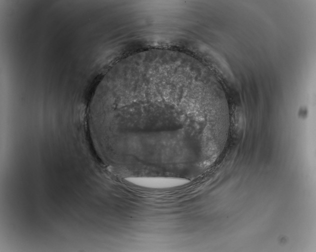 X0000102520511200808221844