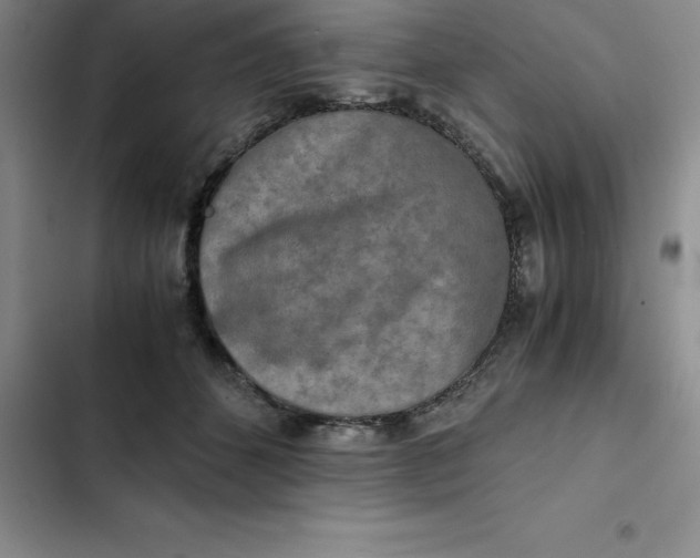 X0000102520512200808221844