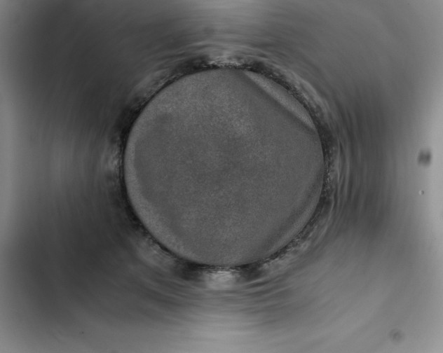 X0000102520513200808221844