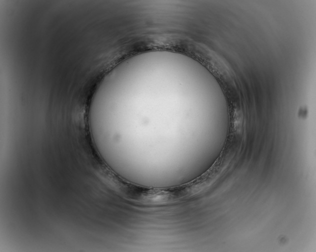 X0000102520514200808221844