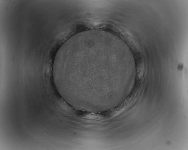 X0000102520515200808221844