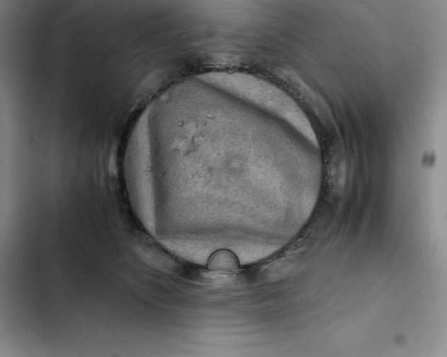 X0000102520516200808221844