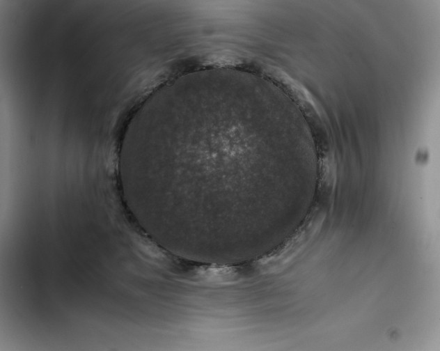 X0000102520517200808221844