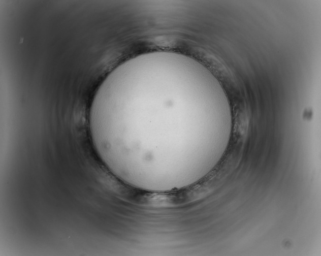 X0000102520518200808221844