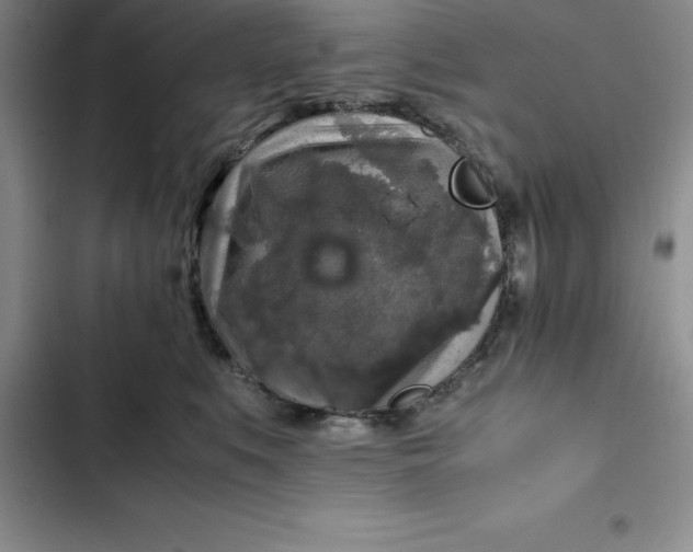 X0000102520519200808221844