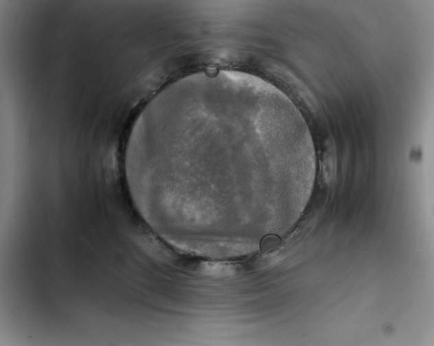 X0000102520520200808221844