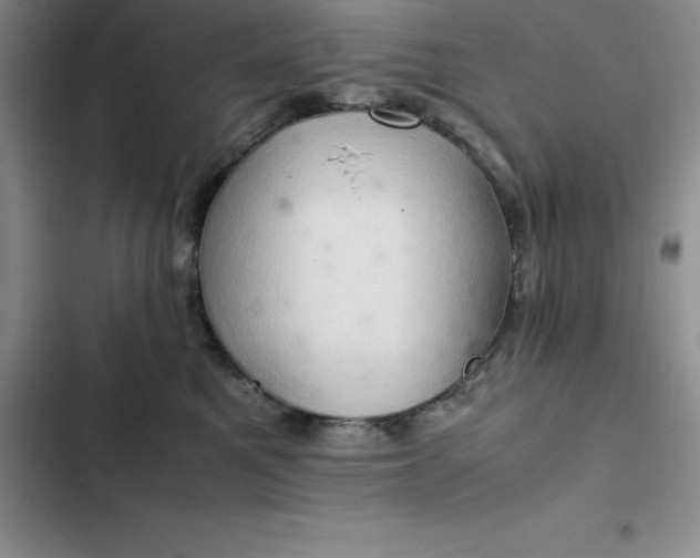 X0000102520521200808221844